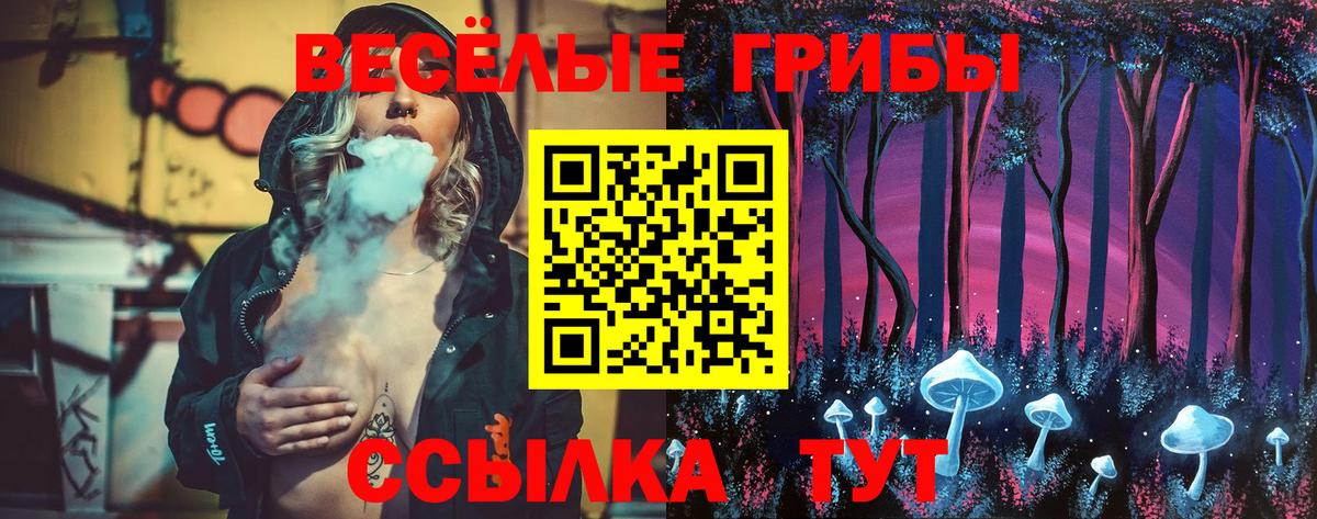 Ногинск  Галлюциногенные грибы Magic Shrooms  Вход с VPN 
