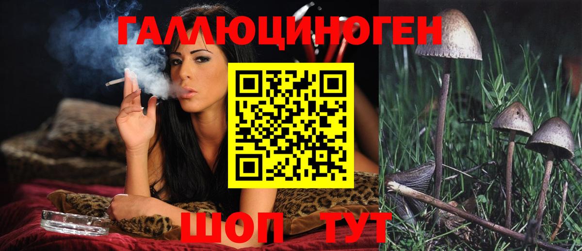 Галлюциногенные грибы Psilocybine cubensis Ногинск